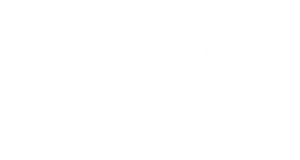 Icon Auszeichnung | Prof. Dr. Axel Koch